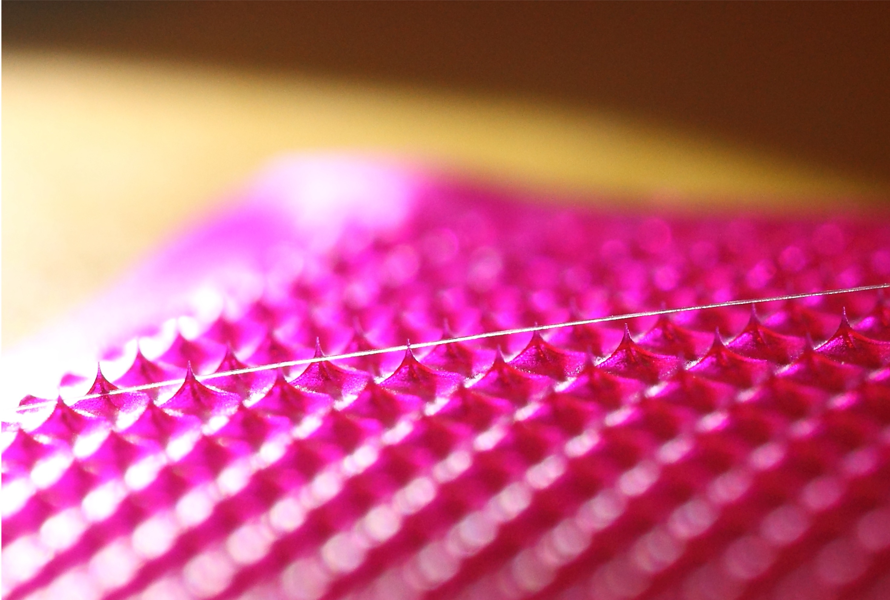 Image of silk-based micro-needles